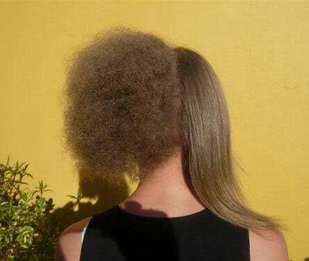 ����������� ����� ���������