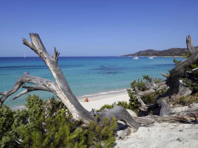 Tips for a successful holiday in Corsica